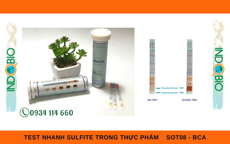 kit test nhanh sulfite trong an toàn vệ sinh thực phẩm SOT08 - BCA
